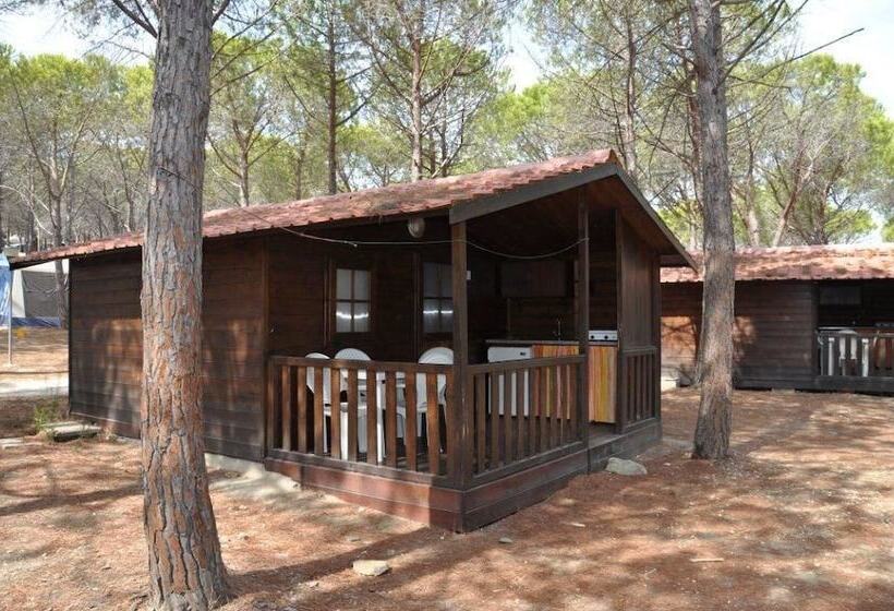 هتل Villaggio Camping Calapineta