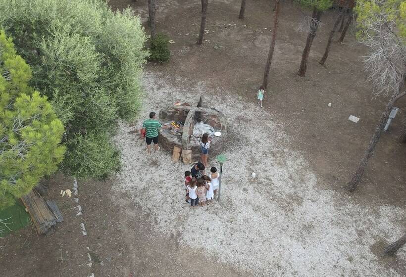 هتل Villaggio Camping Calapineta