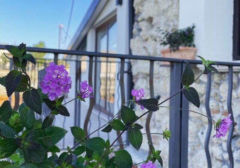 بنسيون Don Giacchi Country House