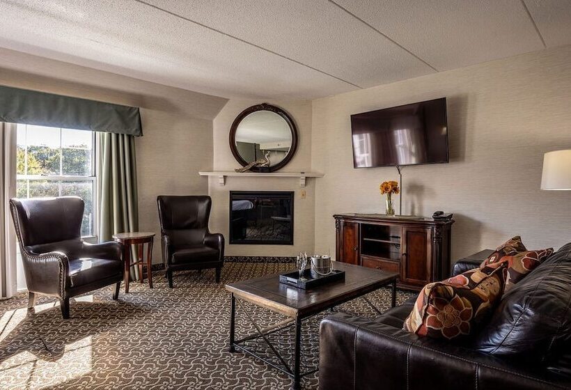 D. Hotel Suites & Spa