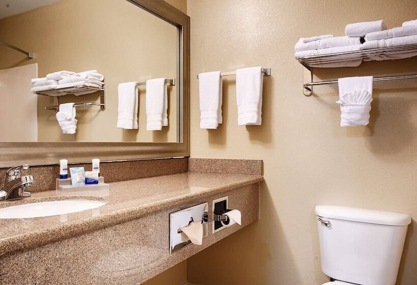 هتل Best Western Plus Waco North