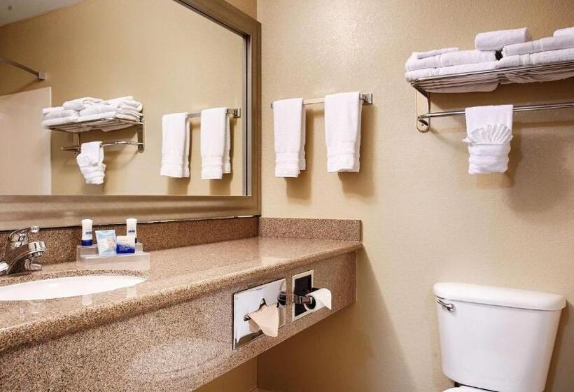 هتل Best Western Plus Waco North