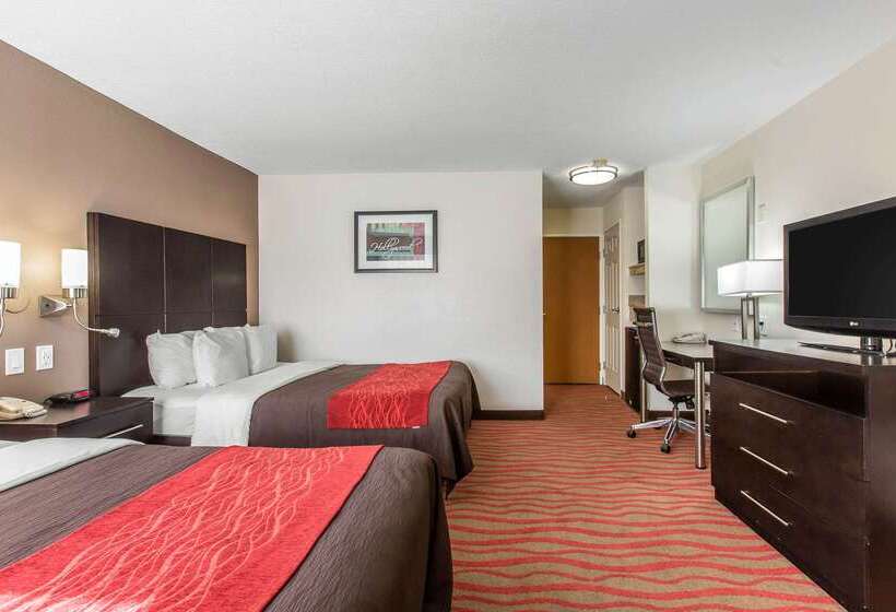 בית מלון כפרי Comfort Inn Los Angeles Near Hollywood
