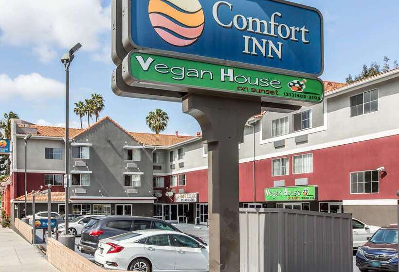 בית מלון כפרי Comfort Inn Los Angeles Near Hollywood