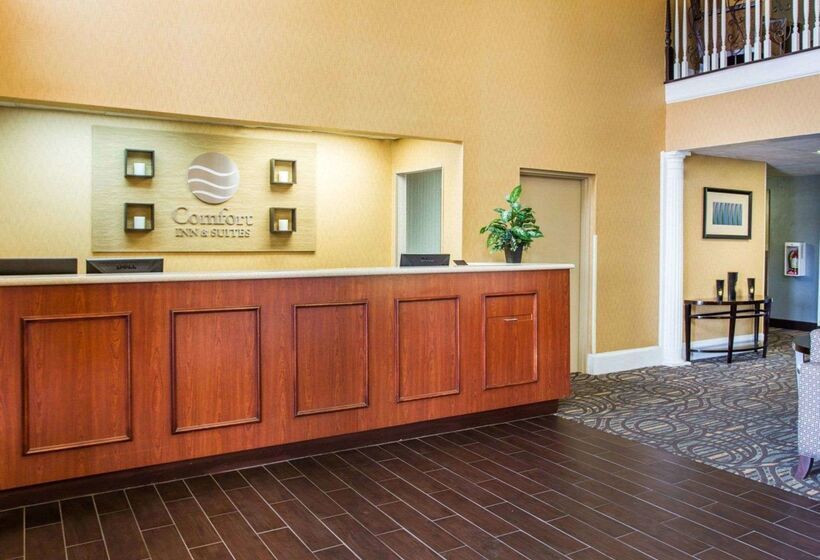 ホテル Comfort Inn & Suites At Stone Mountain