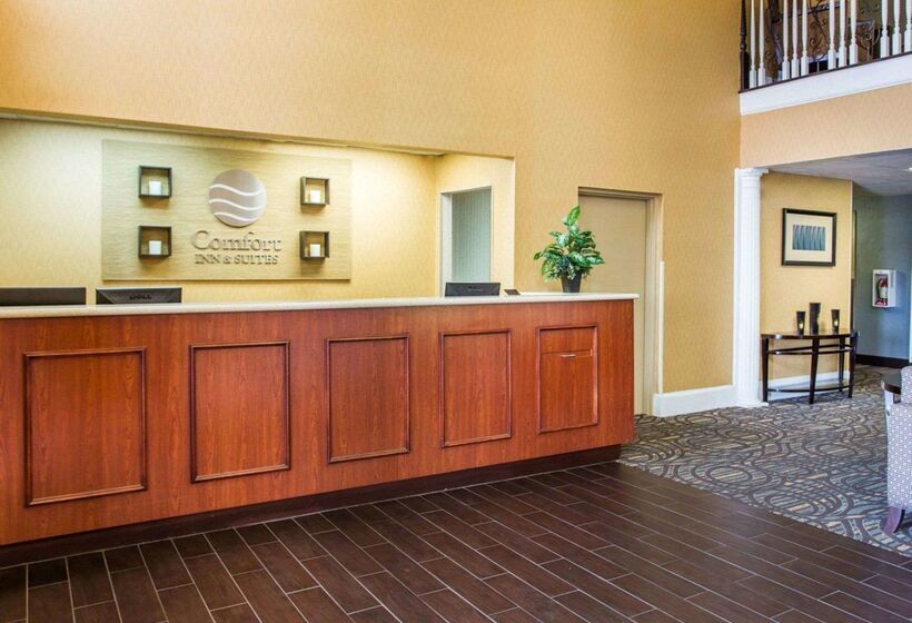 酒店 Comfort Inn & Suites At Stone Mountain