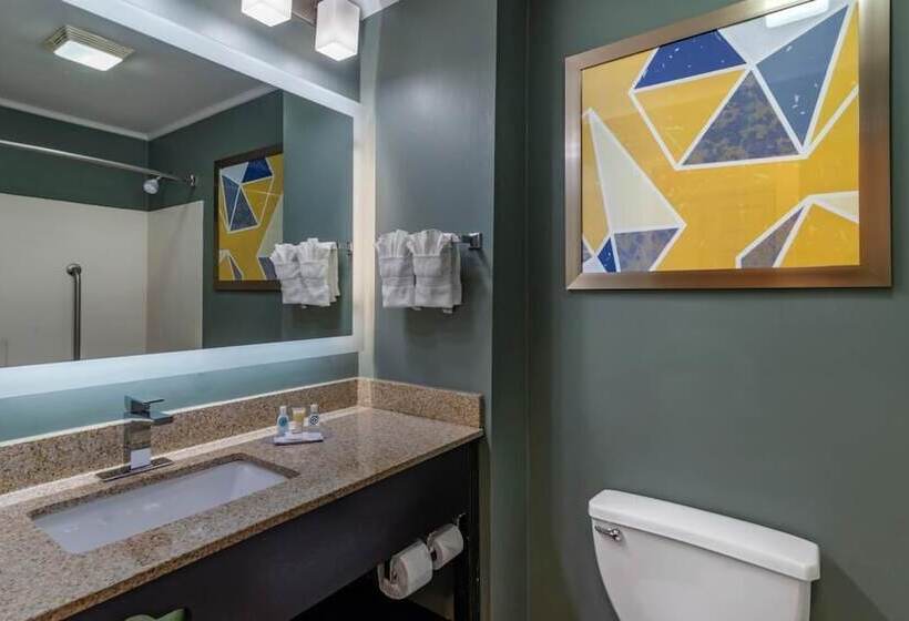 ホテル Comfort Inn & Suites At Stone Mountain