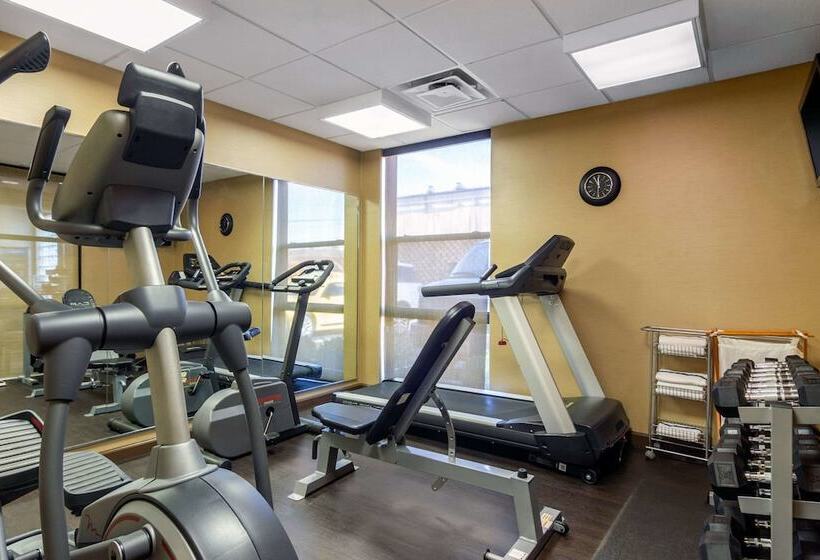 فندق Comfort Inn & Suites