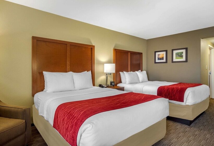 酒店 Comfort Inn & Suites