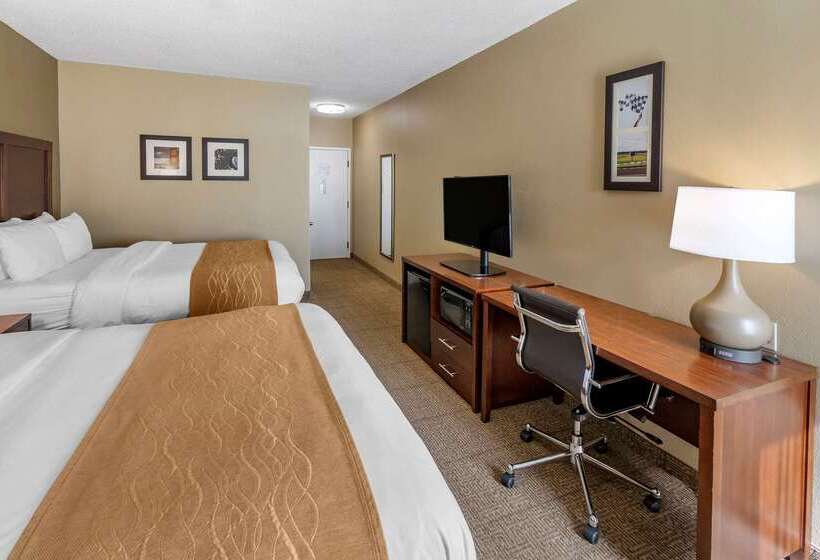 בית מלון כפרי Comfort Inn & Suites