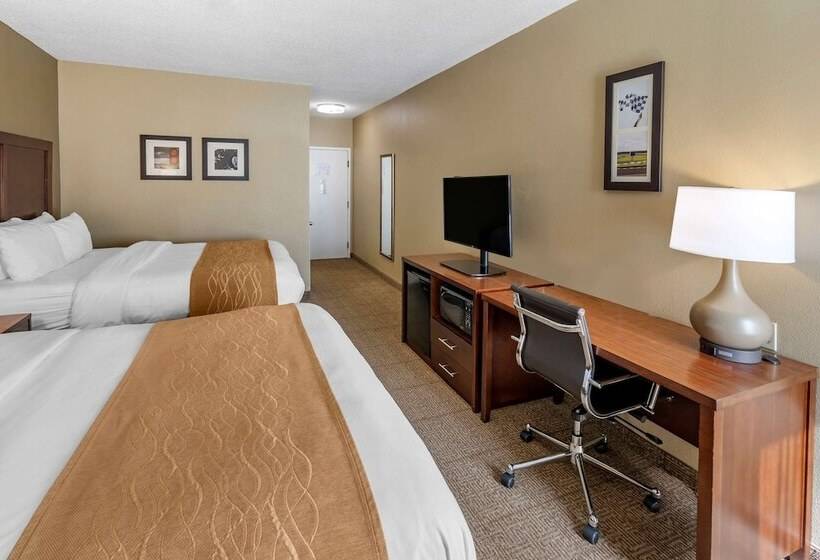 Отель Comfort Inn & Suites