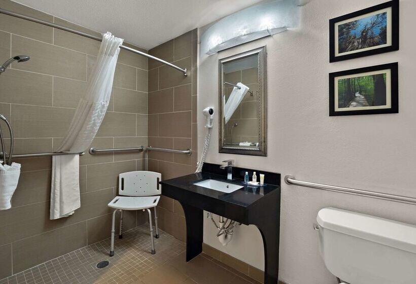 호텔 Comfort Inn & Suites Santee I95