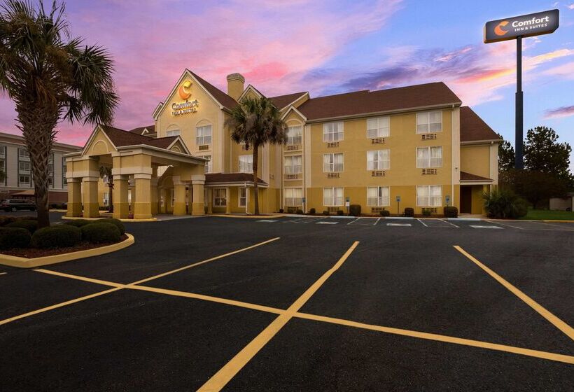 호텔 Comfort Inn & Suites Santee I95