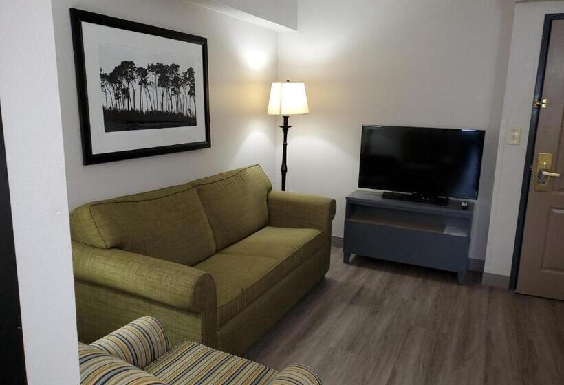 هتل Country Inn & Suites By Radisson, Buford At Mall Of Georgia, Ga
