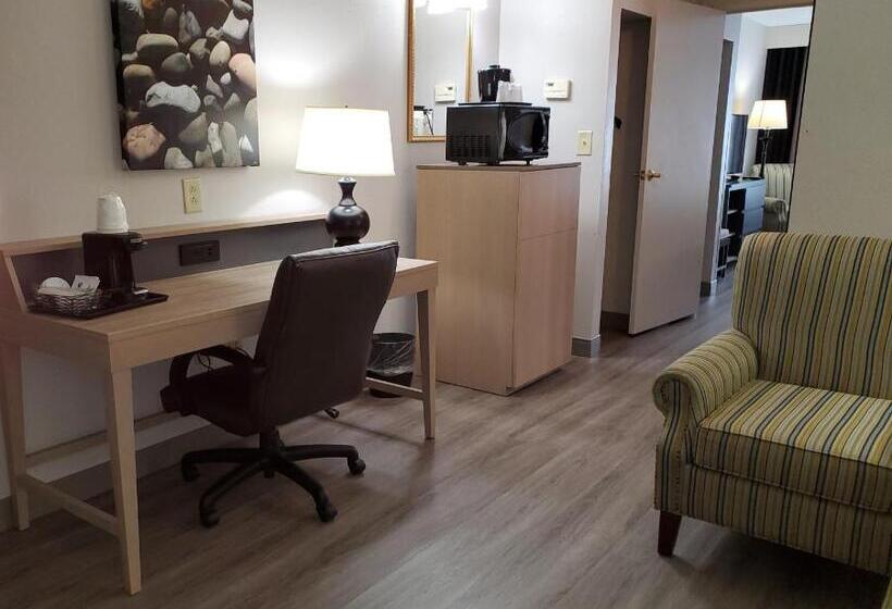 هتل Country Inn & Suites By Radisson, Buford At Mall Of Georgia, Ga