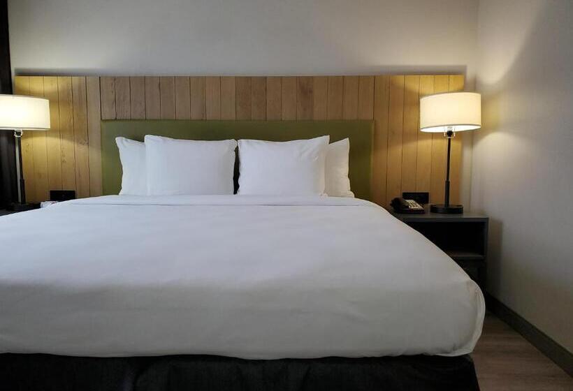 هتل Country Inn & Suites By Radisson, Buford At Mall Of Georgia, Ga