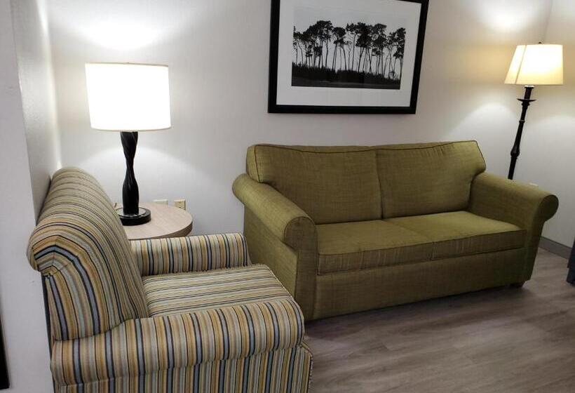 هتل Country Inn & Suites By Radisson, Buford At Mall Of Georgia, Ga
