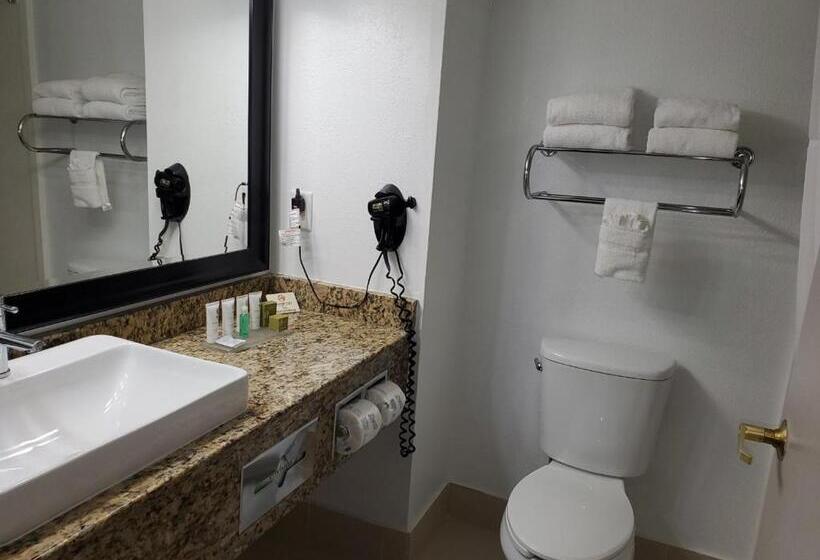هتل Country Inn & Suites By Radisson, Buford At Mall Of Georgia, Ga