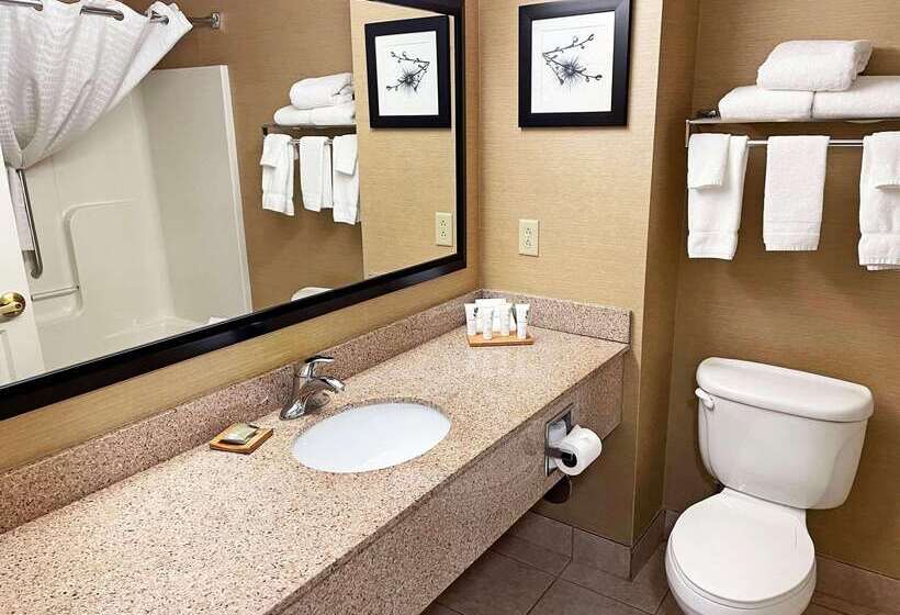 호텔 Country Inn & Suites By Radisson, Findlay, Oh