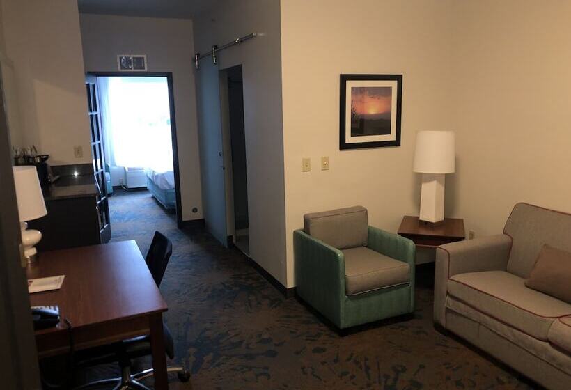 هتل Best Western Erie Inn & Suites
