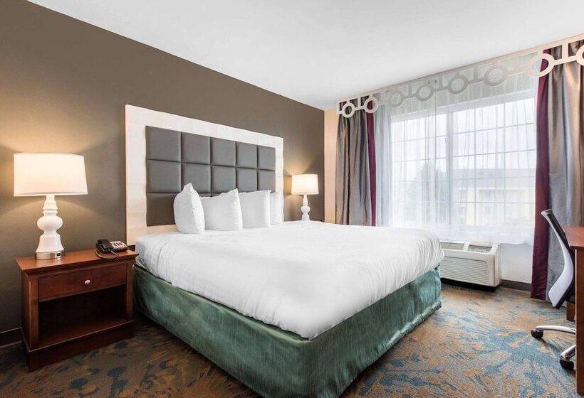 هتل Best Western Erie Inn & Suites