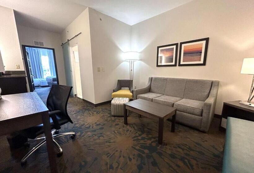 هتل Best Western Erie Inn & Suites