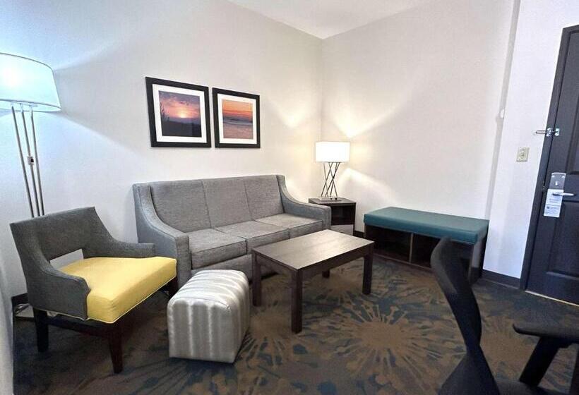 هتل Best Western Erie Inn & Suites