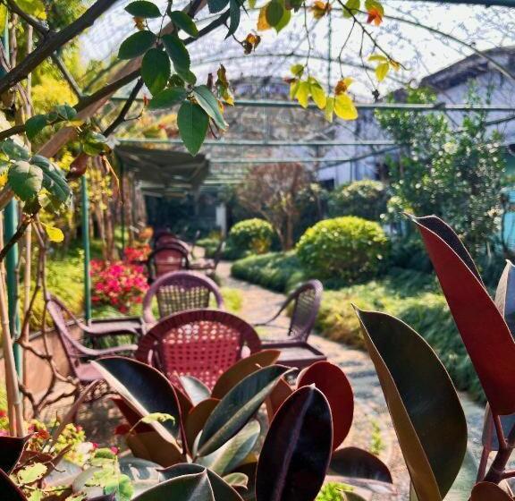 Fotos del hotel Jin Yu Sunshine:  22