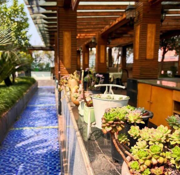 Fotos del hotel Jin Yu Sunshine:  21