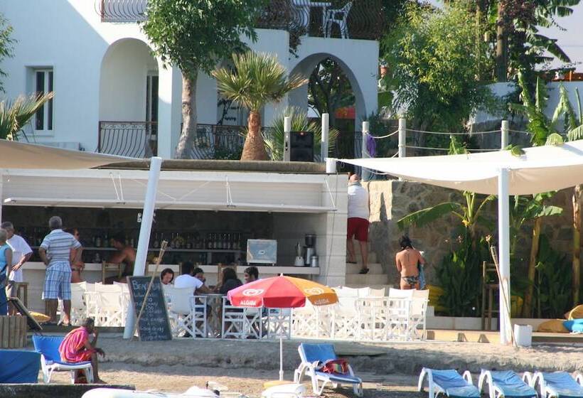 فندق Gumbet Cove