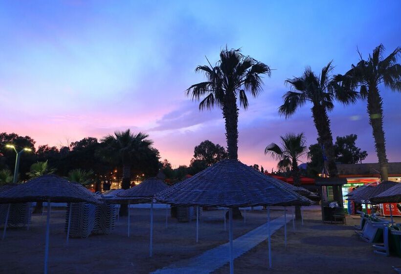 酒店 Marvida Senses Very Chic Bodrum Adult Only