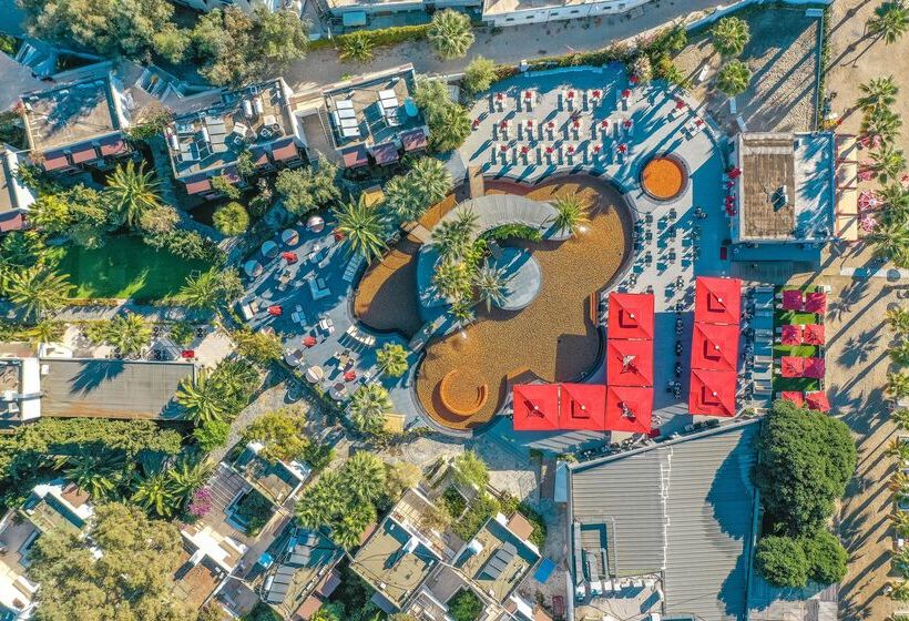 호텔 Marvida Senses Very Chic Bodrum Adult Only