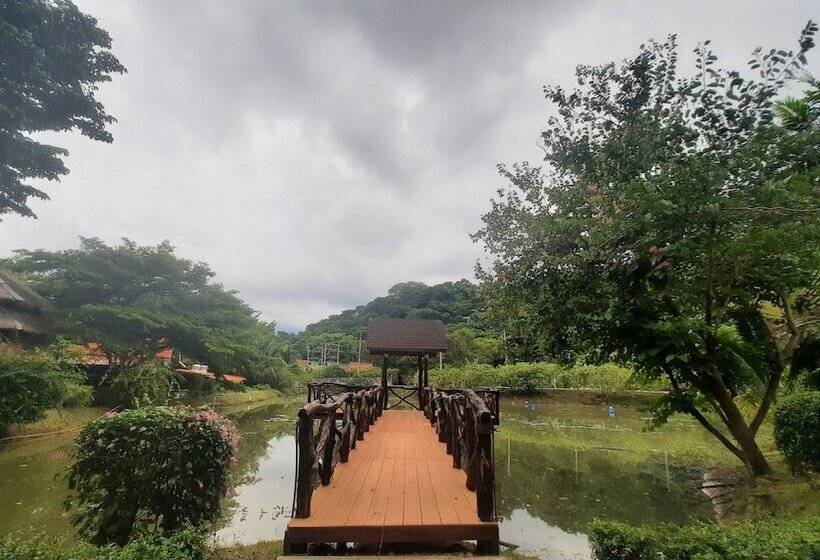 فندق Phi Phi Natural Resort