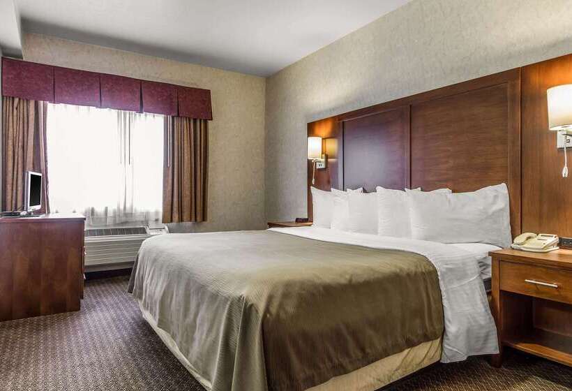 هتل Quality Inn San Jose