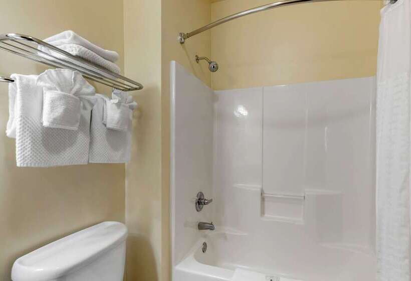 Отель Quality Inn & Suites Wellington   Fort Collins