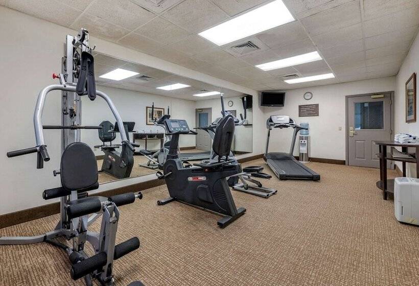 فندق Spark By Hilton St. Augustine I 95