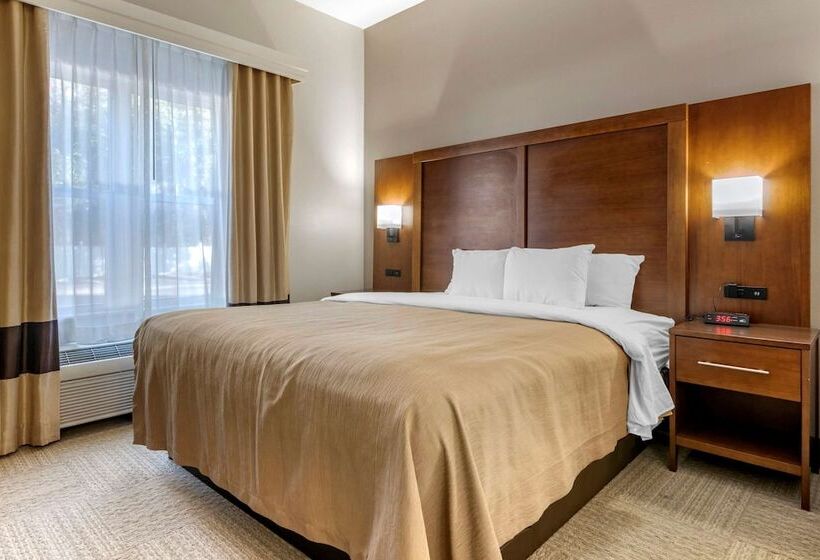 Отель Spark By Hilton St. Augustine I 95