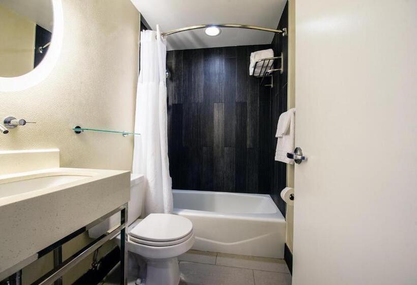 Fotos del hotel Solita Soho:  30