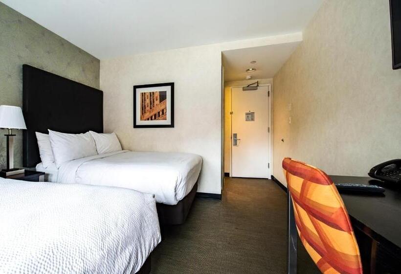 Fotos del hotel Solita Soho:  17