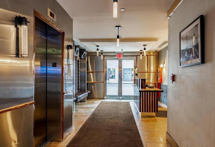 Fotos del hotel Solita Soho:  39