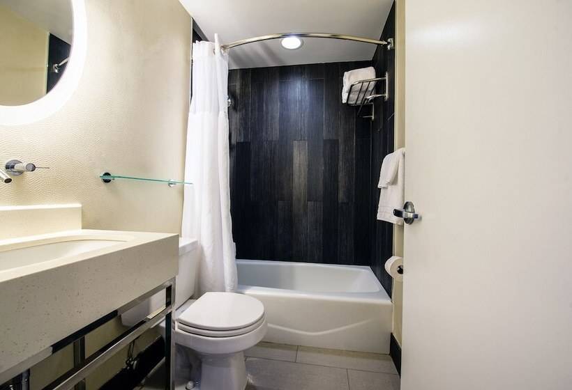 Fotos del hotel Solita Soho:  23