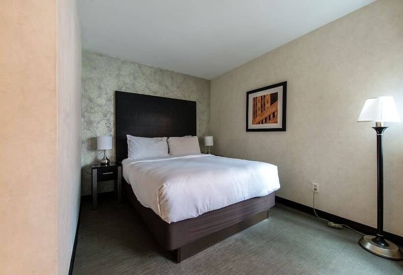 Fotos del hotel Solita Soho:  4