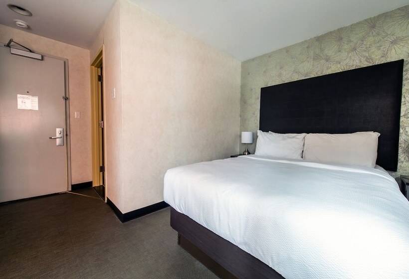 Fotos del hotel Solita Soho:  5