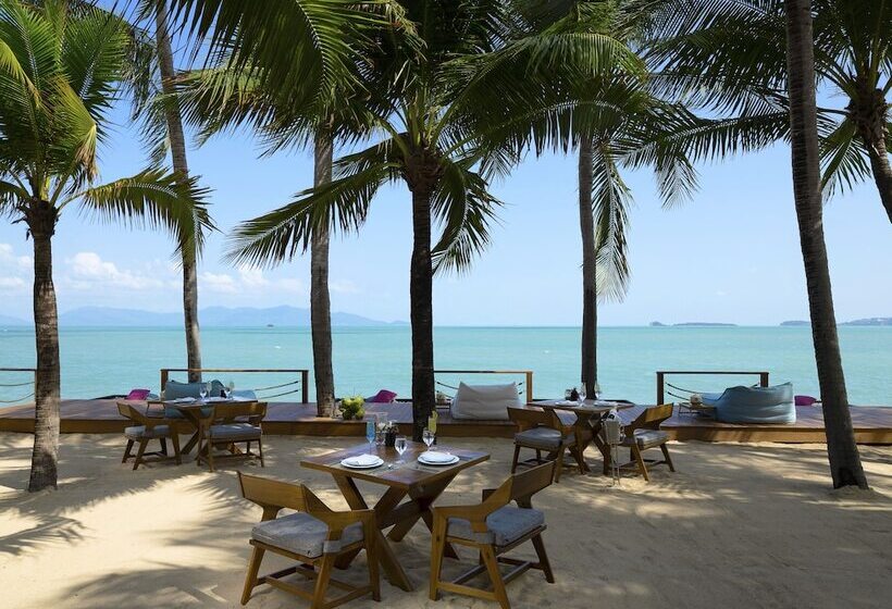 Resort Samui Palm Beach  (sha Plus+)