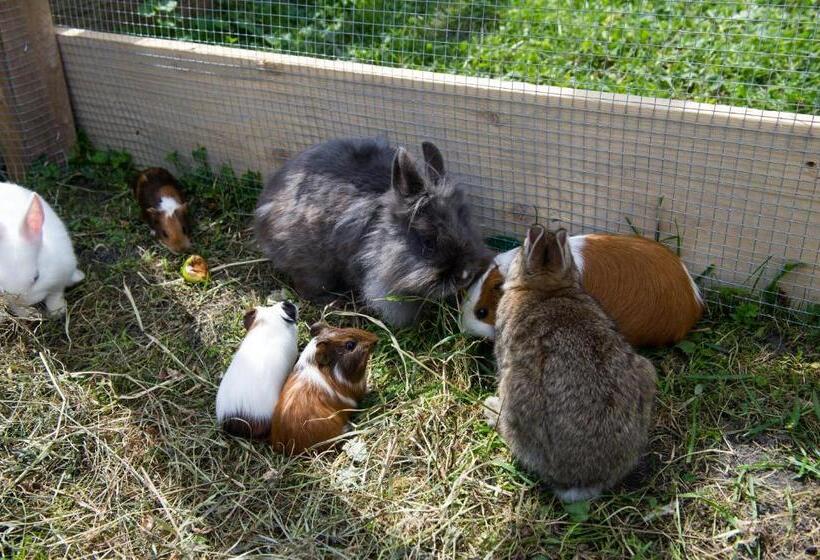 בית מלון כפרי Haarlehenhof