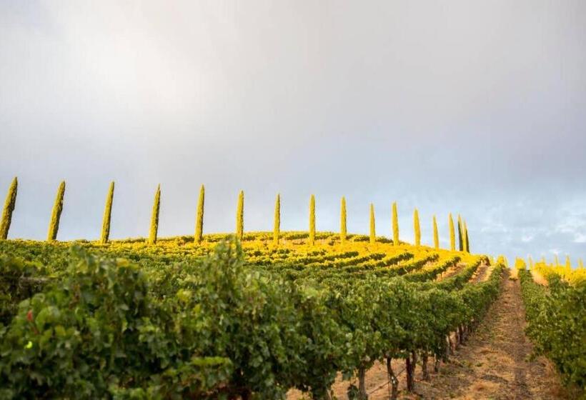 פנסיון Aterno Vineyard, Guest House
