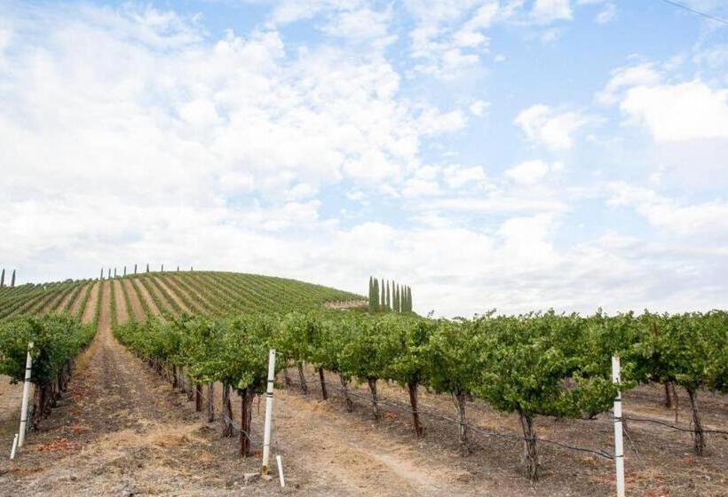 פנסיון Aterno Vineyard, Guest House