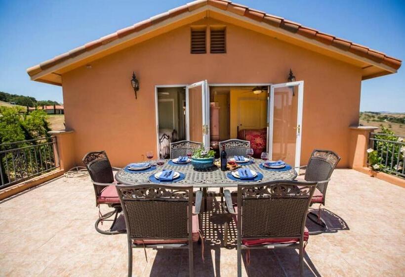 פנסיון Aterno Vineyard, Guest House