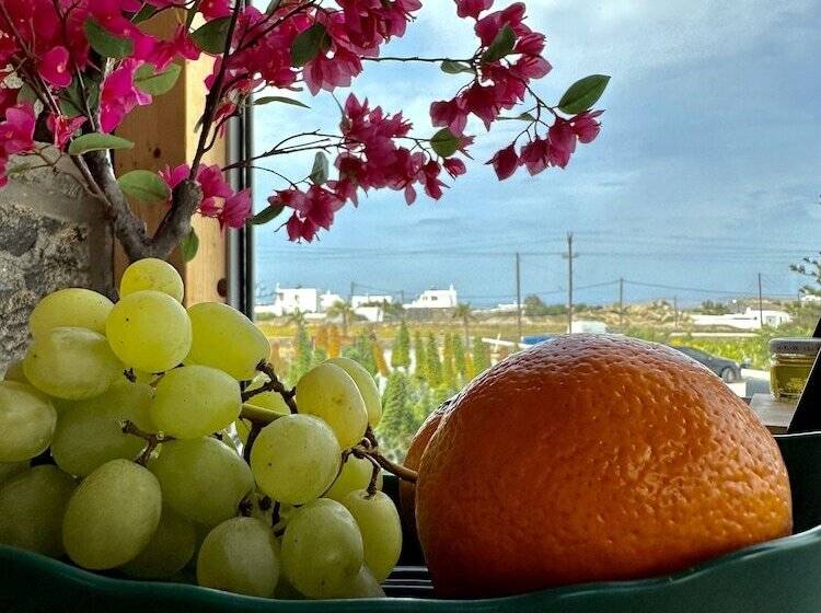 تختخواب و صبحانه Aegean Hospitality