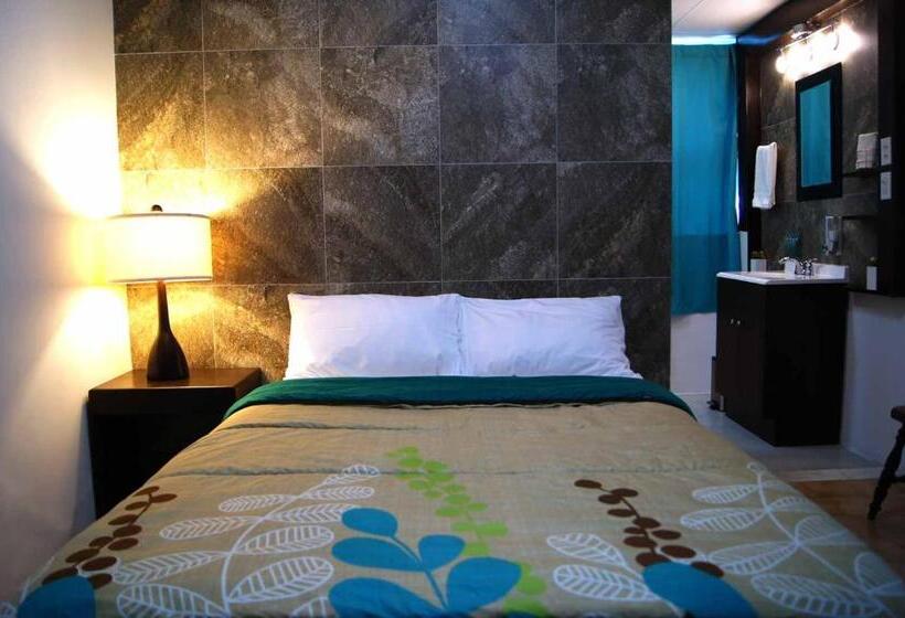 Cabo Tortuga Hotel Boutique